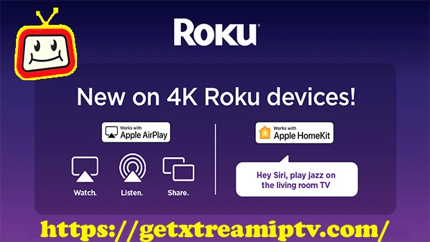 What Are Roku Devices