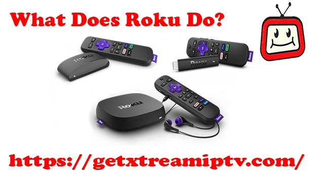 What Does Roku Do